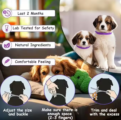 Whisk & Wag™ Calming Pet Colar – Natural Stress & Anxiety Relief for Dogs & Cats