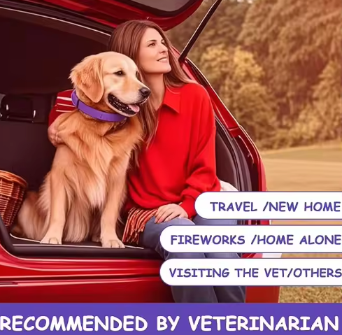 Whisk & Wag™ Calming Pet Colar – Natural Stress & Anxiety Relief for Dogs & Cats