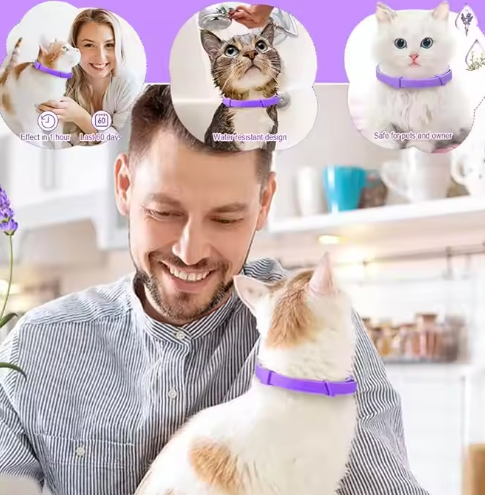 Whisk & Wag™ Calming Pet Colar – Natural Stress & Anxiety Relief for Dogs & Cats