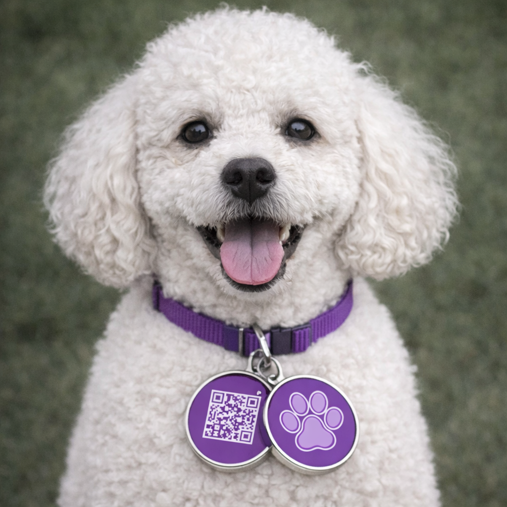 Smart QR Pet ID Tag for Dogs & Cats  - Purple