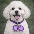 Smart QR Pet ID Tag for Dogs & Cats  - Purple